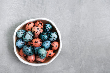 Painted red and blue quail eggs for Easter in small ceramic plate on gray concrete background. Empty place for text and sign.
