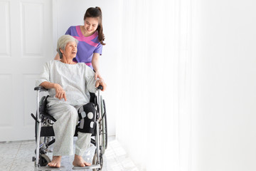 Fototapeta na wymiar asian female nurse talk about rehabilitation process with old stroke patient in hospital, they feeling happy and smile, old asian people sitting on wheelchair, elderly healthcare