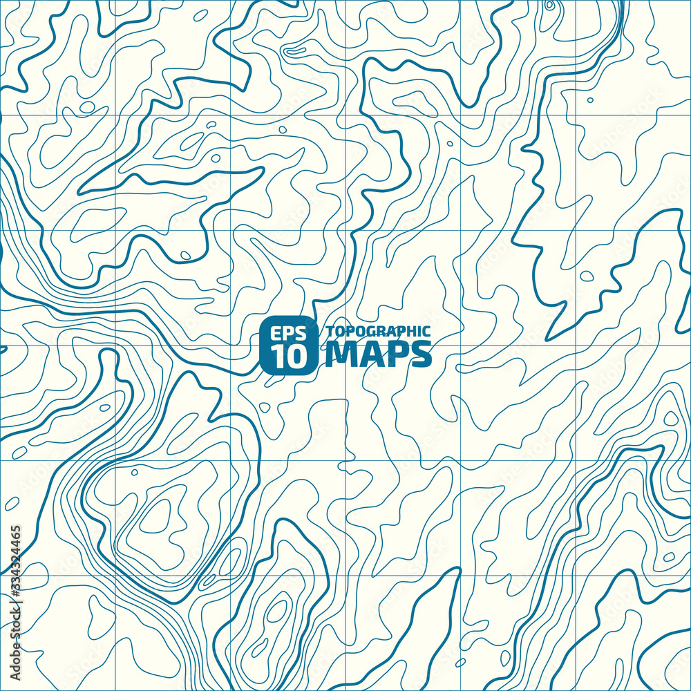 Fototapete the stylized height of the topographic contour in lines and contours. the concept of a conditional g