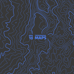 The stylized height of the topographic contour in lines and contours. The concept of a conditional geography scheme and the terrain path. Vector illustration.