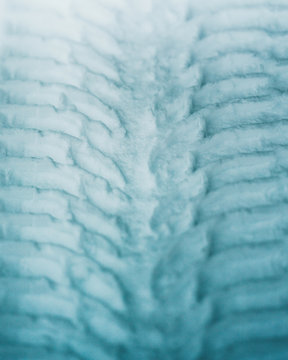 Photography by Charly Savely.