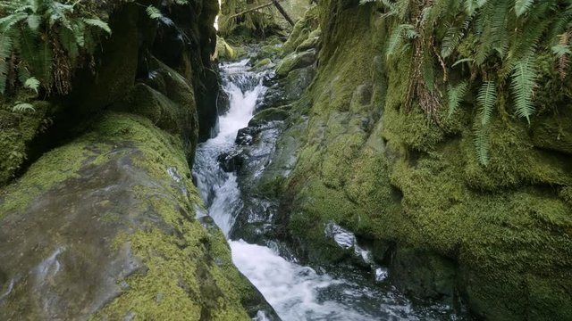 Waterfall river flowing through green lush moss covered rocky canyon tunnel in pacific northwest rain forest