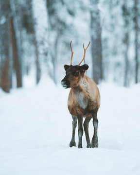 Photography by Charly Savely.