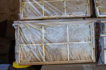 Fresh honey in the sealed comb frame