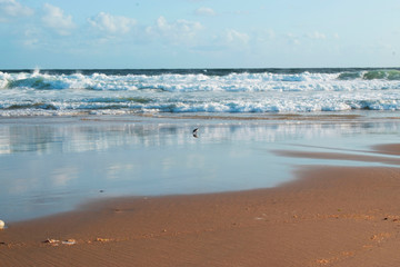 (La Paloma- Rocha) Uruguay