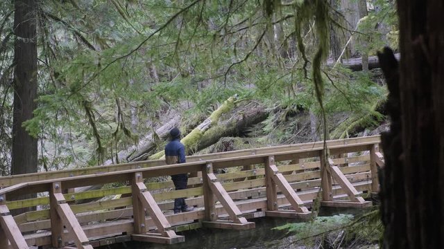 African American young Male walking and hiking alone across natural wooden bridge trail through peaceful forest trees nature