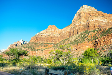 Desert Mountain with a Few Trees