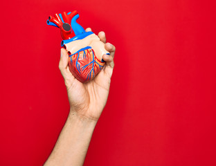 Beautiful hand of man holding artificial heart over isolated red background