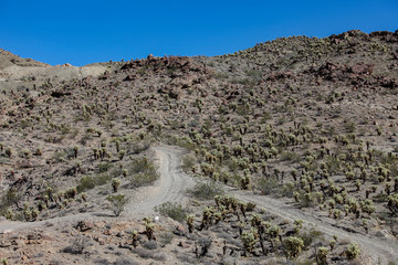 Converging roads in the Eldorado Canyon.
