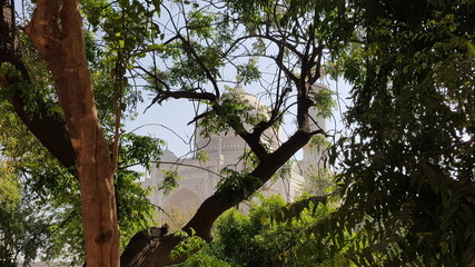 Beyond the trees you will find Taj Mahal