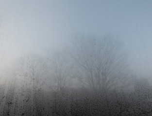 Obraz na płótnie Canvas fog on the window 