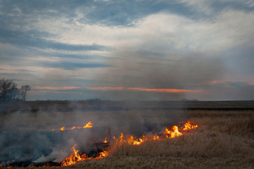 prescribed burn in the prairie