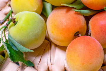 カゴに入れた梅の実