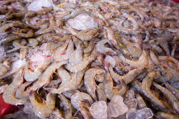 chilled fresh shrimp prawn at wet market with ice.