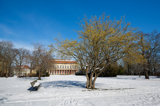Merseburg Schlossgartensalon im Winter