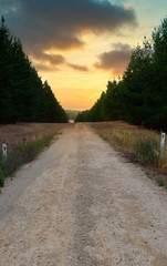 Country Road in South Australia shot at sunset