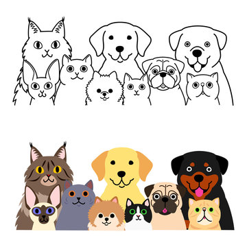 cats and dogs group set