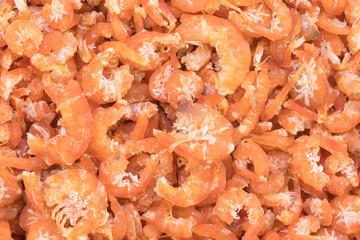 close up of small dried shrimp for background