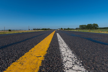 Ruta
