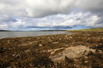 Fototapeta na wymiar Margaret's Hope - Orkney (Scotland), UK - August 10, 2018: The landscape near St Margaret's Hope village in the Orkney islands, Orkney, Scotland, Highlands, United Kingdom