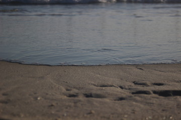 Beach of Rio de Janeiro