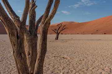Dunes in Namib Naukluft National Park, Namibia