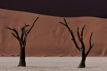 Dunes in Namib Naukluft National Park, Namibia