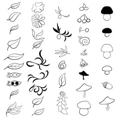 set hand drawn natural elements isolated on white