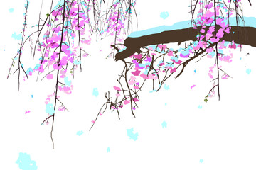 桜の季節に積雪
