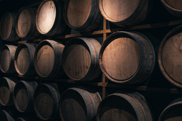 wine barrels in cellar