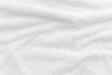 Fur background with white soft fluffy furry texture hair cloth of sheepskin for blanket and carpet interior decoration - obrazy, fototapety, plakaty