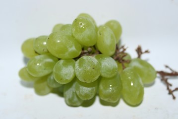bunch of the grapes with white background. 