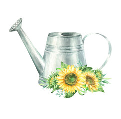  Watercolor illustration of a garden watering can with sunflowers © Vilena