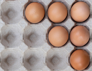 Close up chicken eggs in paper egg tray