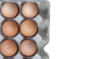 Close up chicken eggs in paper egg tray on white background