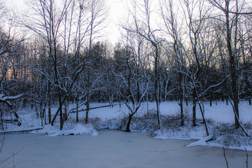 An Icy Winters Evening