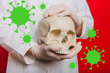 Doctor's hands in gloves hold a human skull on a red background. Coronaviruses fly in the air....