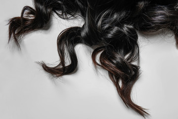 Curly dark female hair on white background