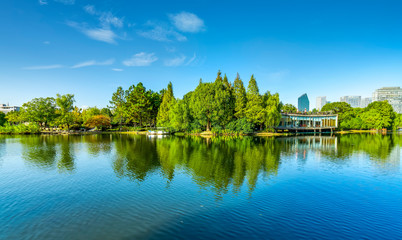 Ningbo City Park and building skyline..