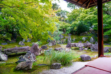 圓徳院
