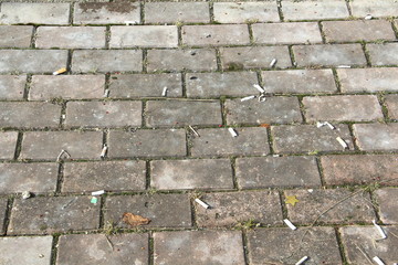 Cigarette butts lie on the on the sidewalk of gray pavers. Environmental pollution and fire hazard concept.