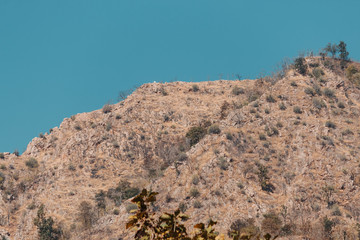 View of the mountain against the sky at Polo Forest in Gujarat, India