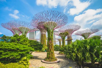 Foto auf Alu-Dibond Landschaft von Gardens by the Bay in Singapur © Richie Chan