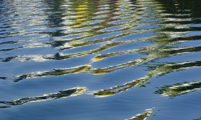 Water reflections