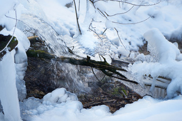 Mountain river in the winter forest.
