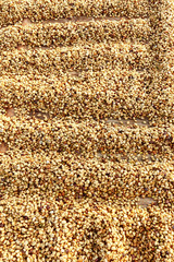  Close up of coffee beans for background                                