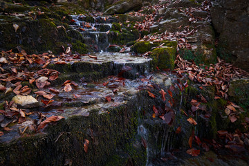 Small waterfall in the autumn forest.