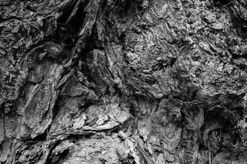 wood skin texture black and white