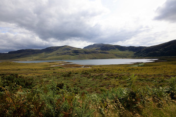 Scotland, UK - August 11, 2018: Typical landscape of Scotland, Scotland, Highlands, United Kingdom