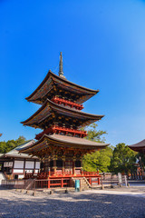 Japan - Chiba prefecture - Kururi 2013 : view of Pagoda At Afternoon